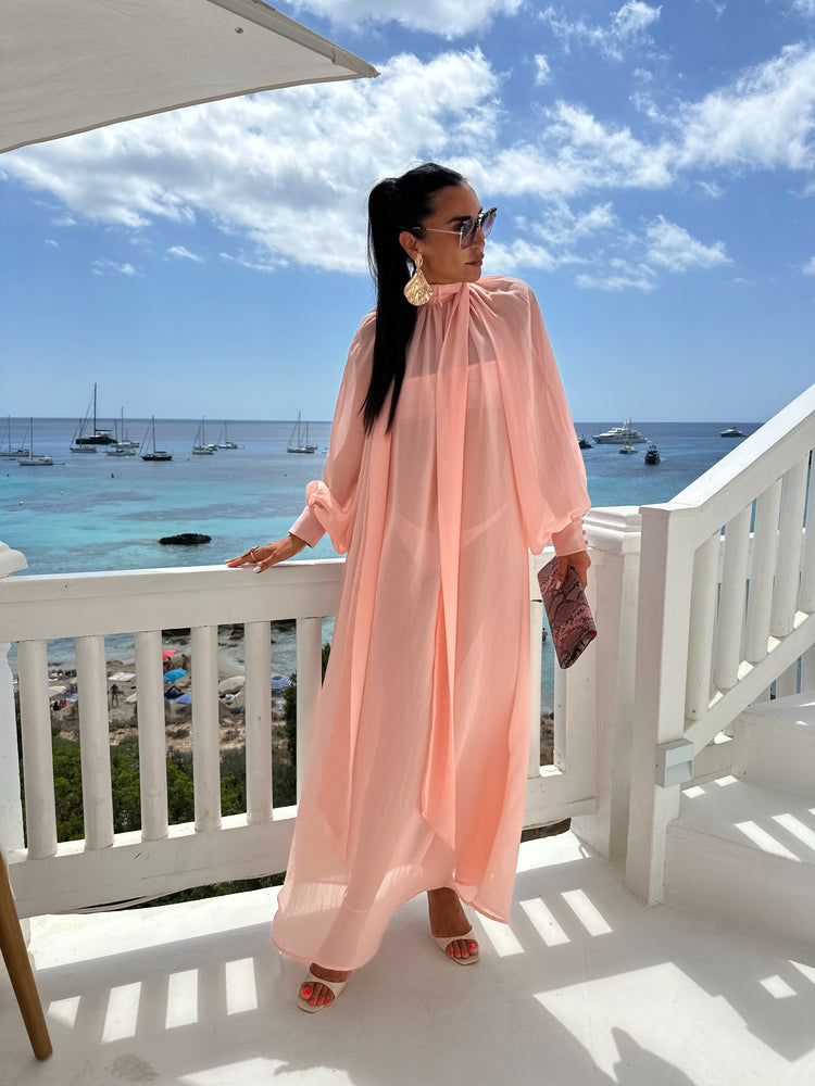 Marlene Soft Pink Sheer Maxi Dress