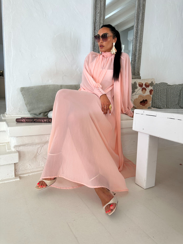 Marlene Soft Pink Sheer Maxi Dress