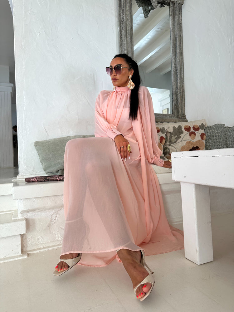 Marlene Soft Pink Sheer Maxi Dress