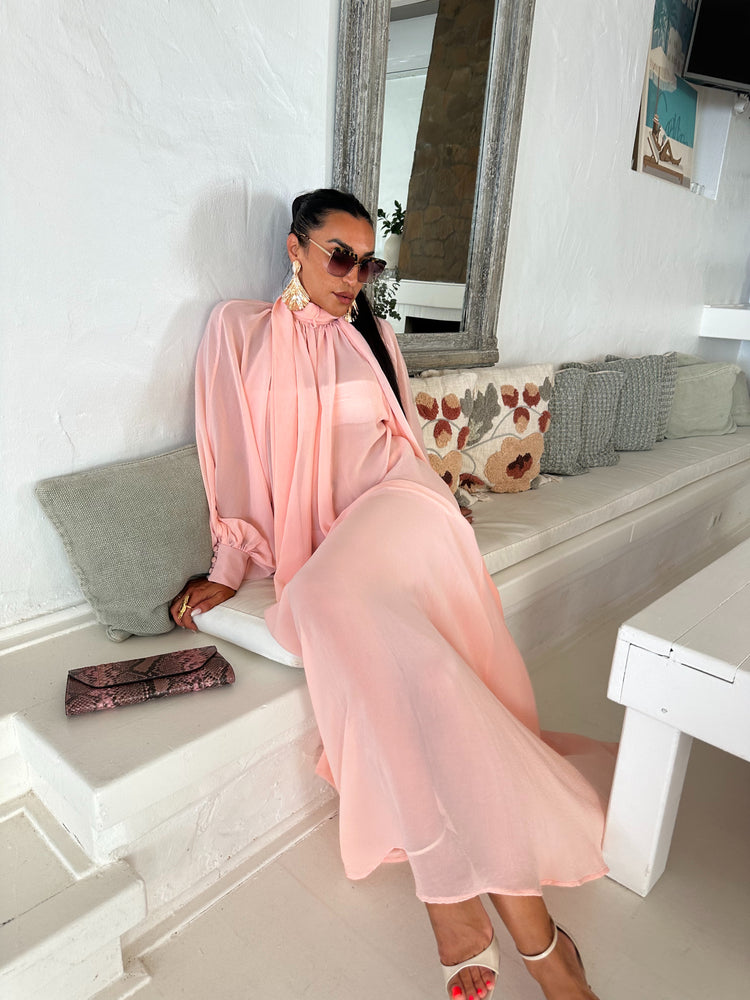 Marlene Soft Pink Sheer Maxi Dress